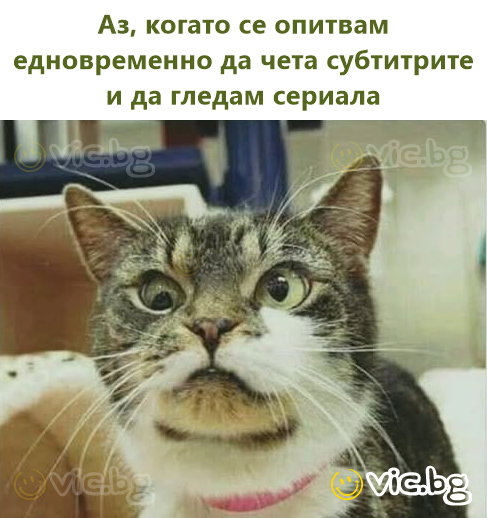 Аз, когато се опитвам едновременно да чета субтитрите и да гледам сериала