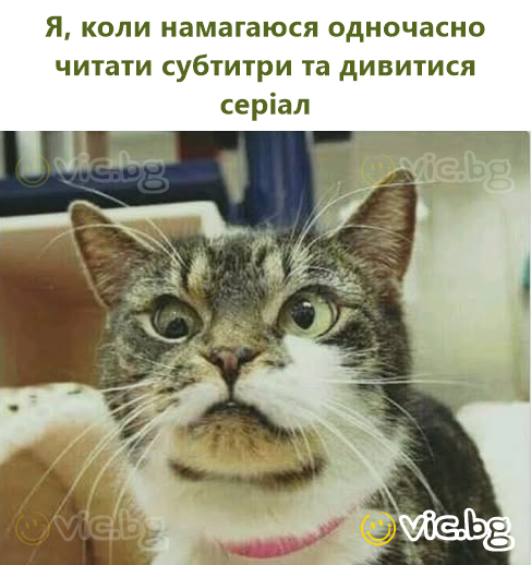Аз, когато се опитвам едновременно да чета субтитрите и да гледам сериала