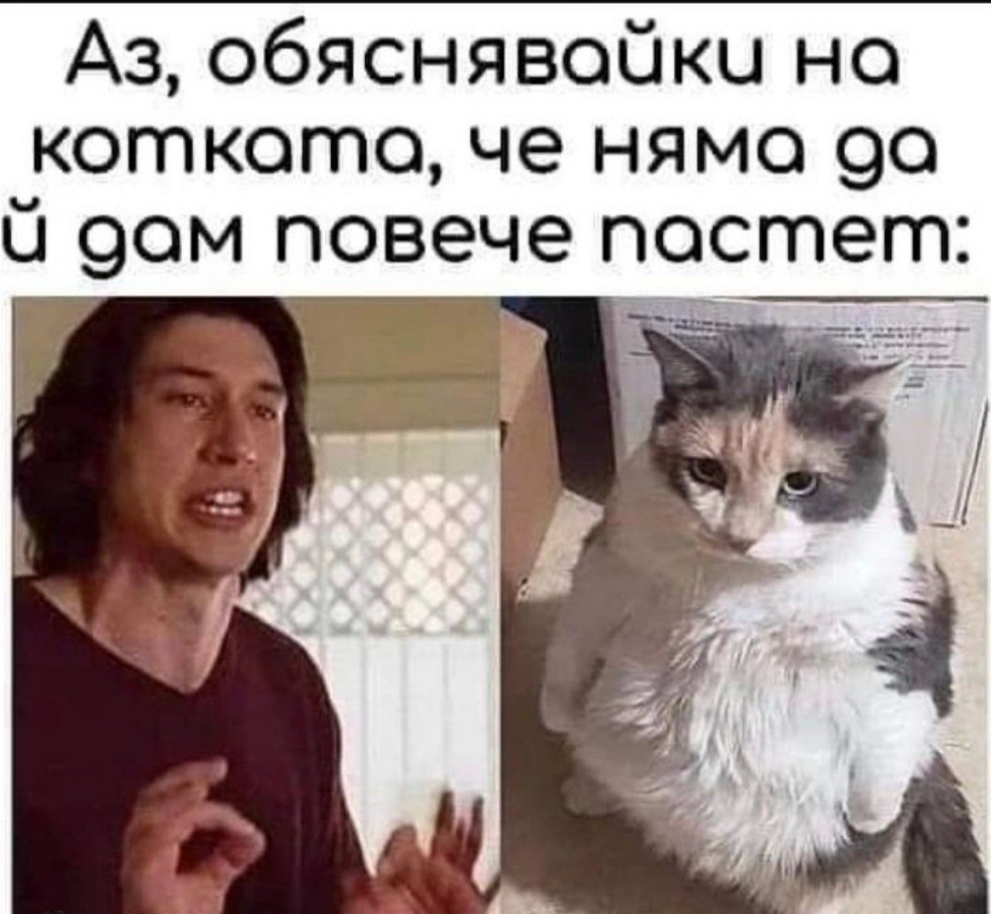 Аз, обяснявайки на котката, че няма да й дам повече пастет: