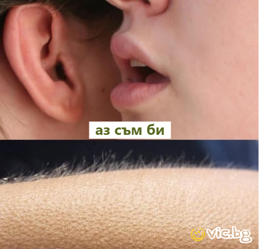 аз съм би
