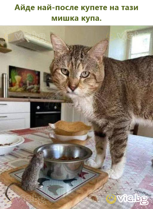 Айде най-после купете на тази мишка купа.