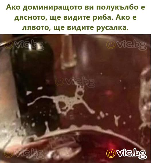 Ако доминиращото ви полукълбо е дясното, ще видите риба. Ако е лявото, ще видите русалка.