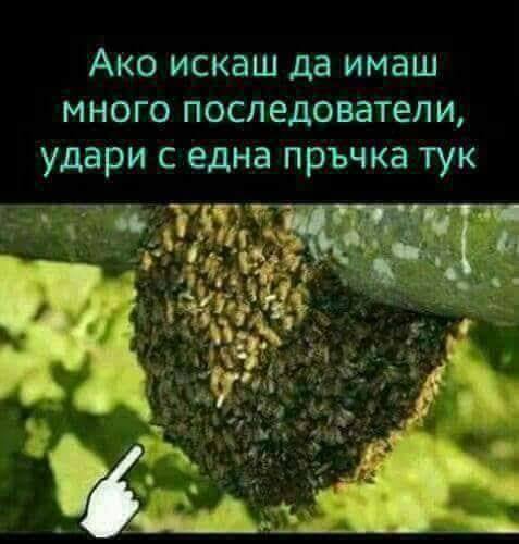 Ако искаш много последователи, удари с една пръчка тук!