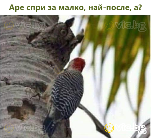 Аре спри за малко, най-после, а?