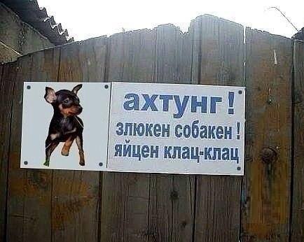 Ахтунг Злюбен собакен! Яйцен клац-клац