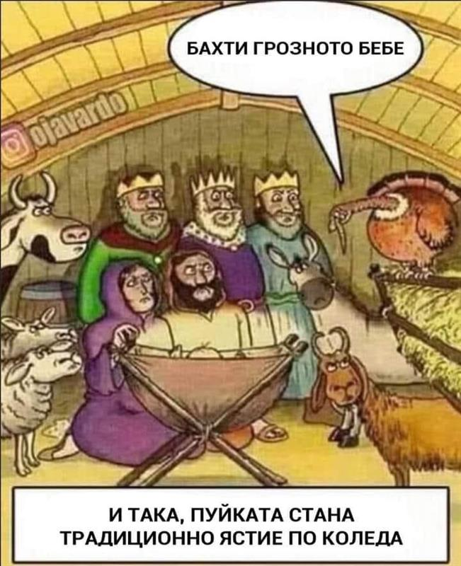 "Бахти грозното бебе". И така, пуйката стана традиционно ястие по коледа