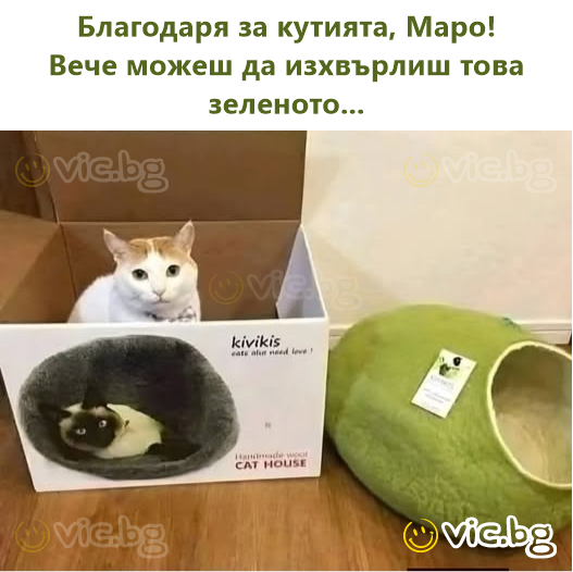 Благодаря за кутията, Маро!  Вече можеш да изхвърлиш това зеленото...
