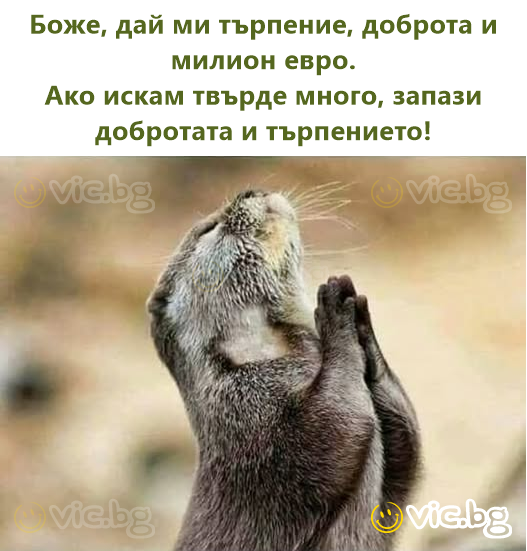 Боже, дай ми търпение, доброта и милион евро.  Ако искам твърде много, запази добротата и търпението!