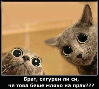 Брат, сигурен ли си, че това беше мляко на прах?!