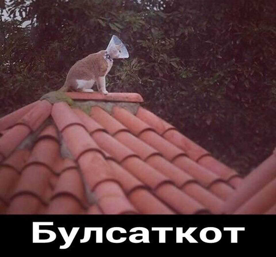 Булсаткот