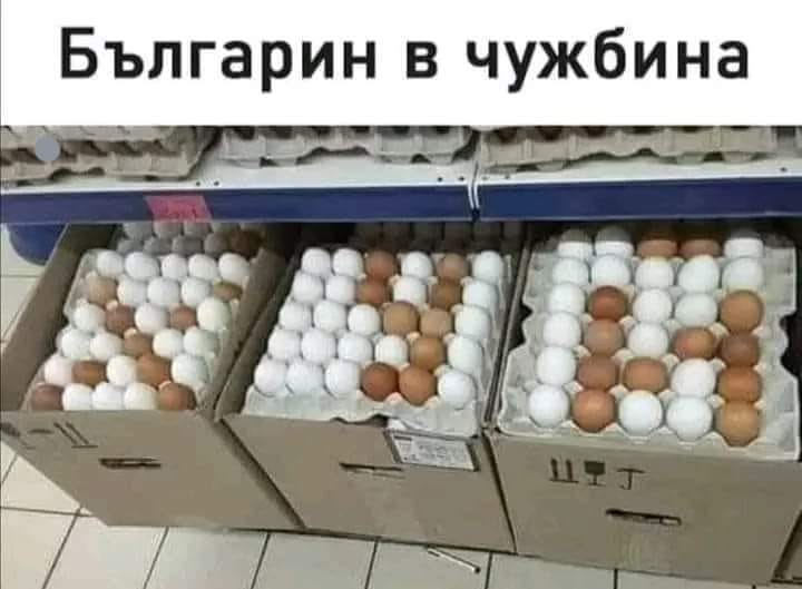 Българин в чужбина