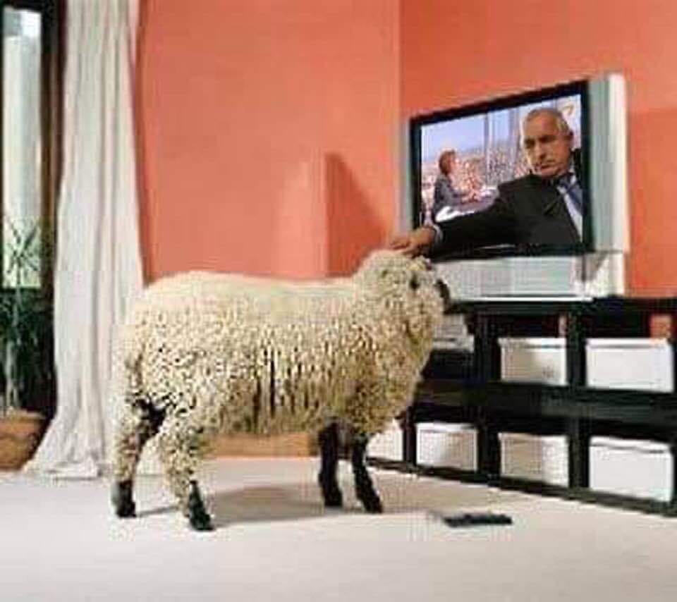 България, след евро изборите