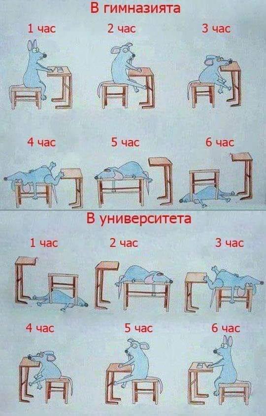 В гимназията VS. Университета 