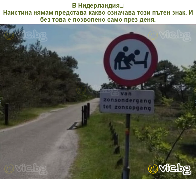 В Нидерландия
Наистина нямам представа какво означава този пътен знак. И без това е позволено само през деня.