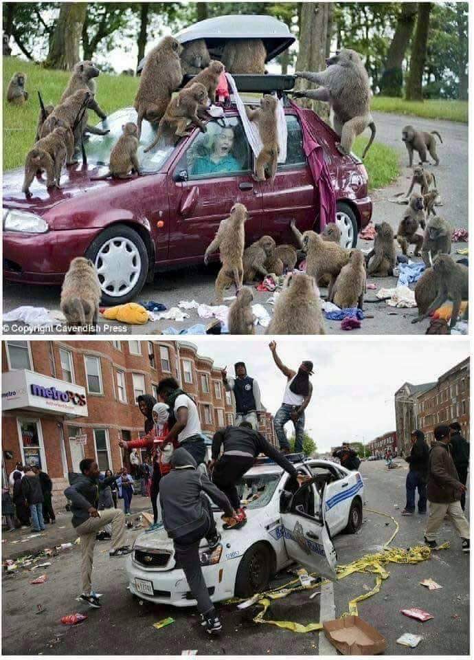 Виждате ли разлика някъде