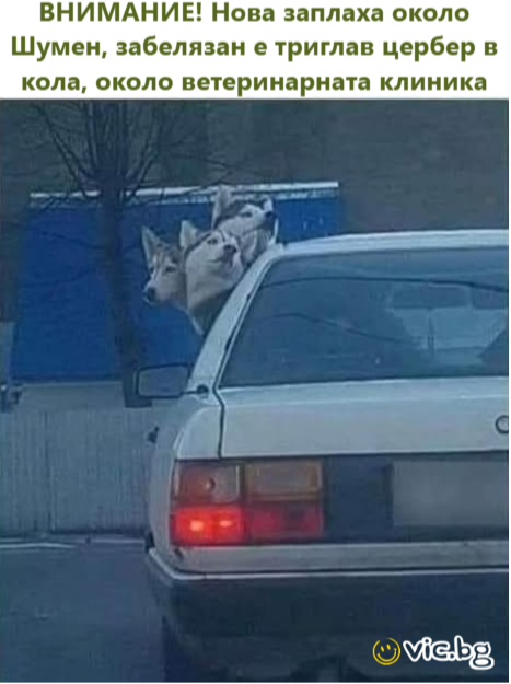 ВНИМАНИЕ! Нова заплаха около Шумен, забелязан е триглав цербер в кола, около ветеринарната клиника