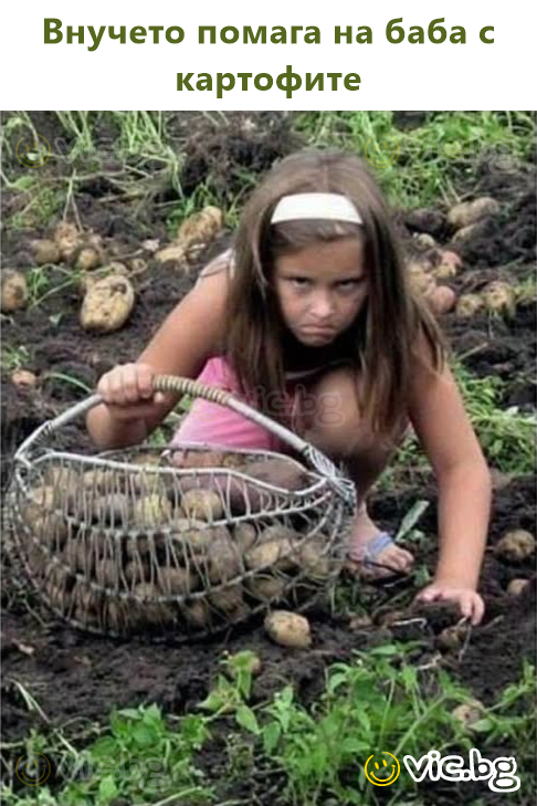 Внучето помага на баба с картофите