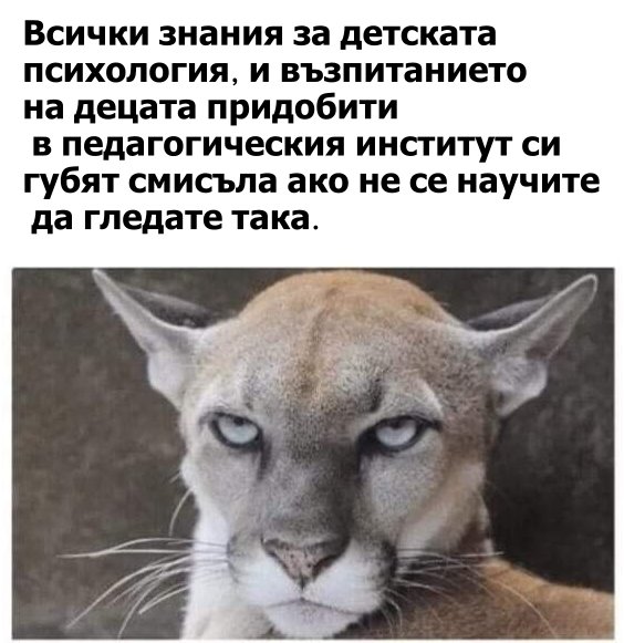 Всички знания за детската психология и възпитанието на децата, придобити в педагогическия институт си губят смисъла, ако не се научите да гледате така