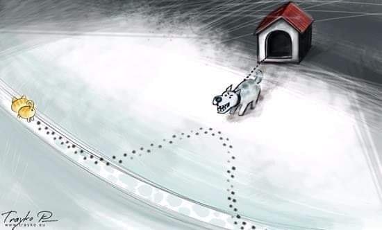 Всичко което трябва да знаете за котката ... и жените