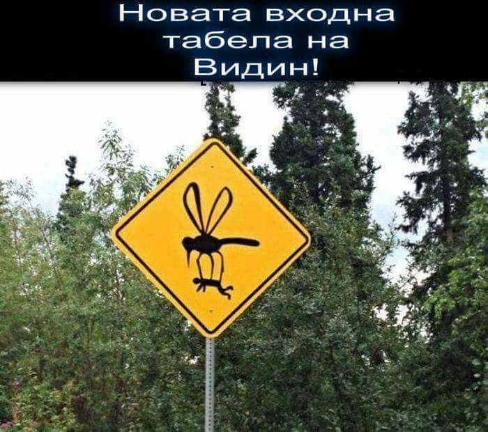 Входната табела на Видин