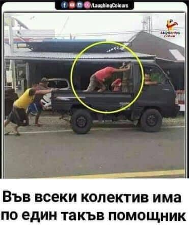 Във всеки колектив има по един такъв помощник