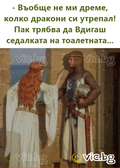 - Въобще не ми дреме, колко дракони си утрепал! Пак трябва да Вдигаш седалката на тоалетната...