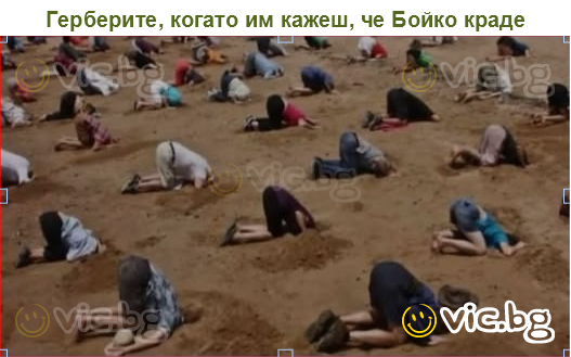 Герберите, когато им кажеш, че Бойко краде