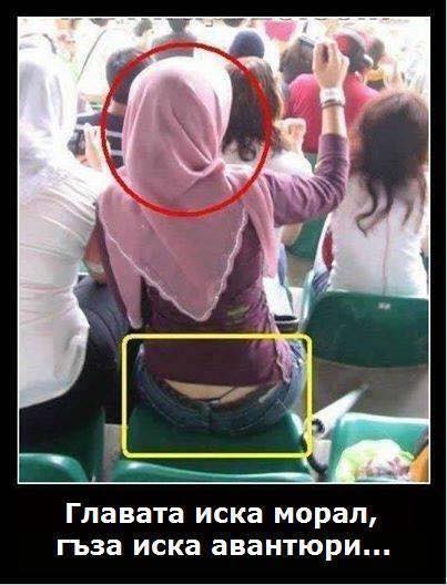 Главата иска морал, гъза авантюри