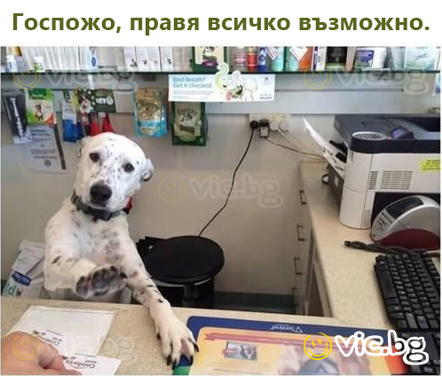 Госпожо, правя всичко възможно.