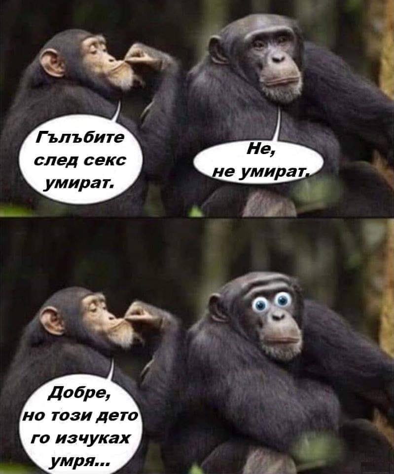 - Гълъбите след секс умират, - Не, не умират! - Добре, ама тоя дето го изчуках, умря