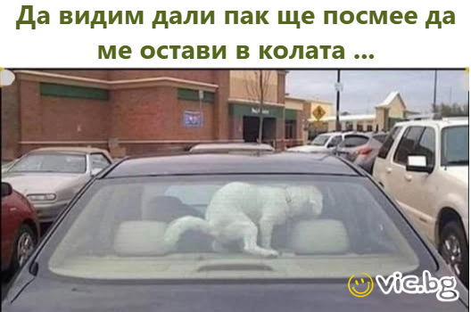 Да видим дали пак ще посмее да ме остави в колата ...