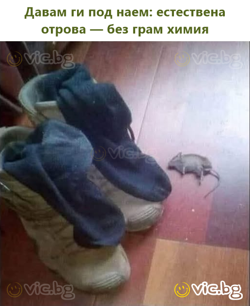 Давам ги под наем: естествена отрова — без грам химия