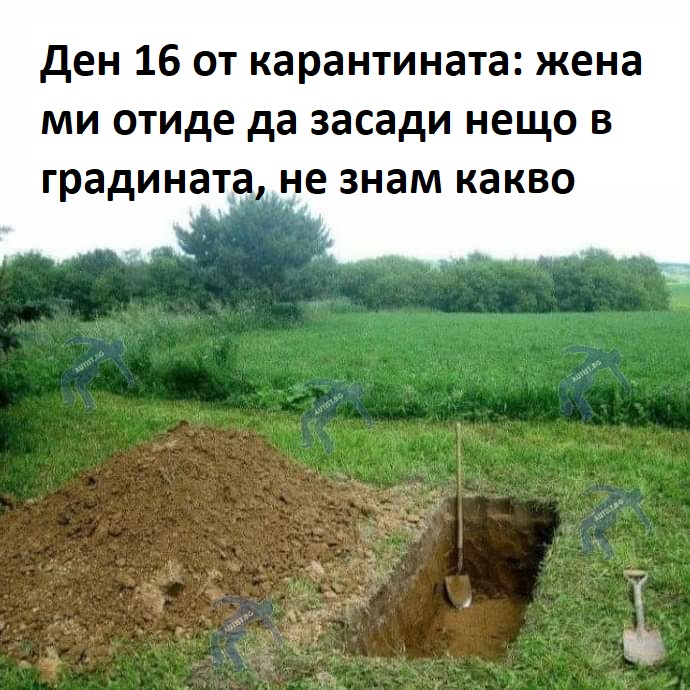 Ден 16: Жена ми отиде да засади нещо в градината, не знам какво