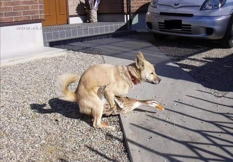 Ден X без секс