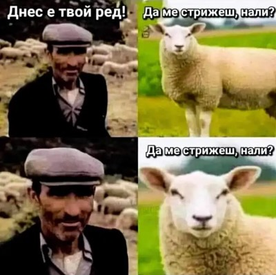 Днес е твой ред! Да ме стрижеш, нали?