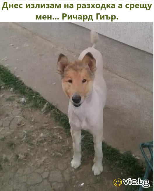 Днес излизам на разходка а срещу мен... Ричард Гиър.