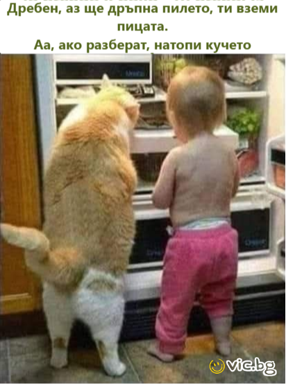 Дребен, аз ще дръпна пилето, ти вземи пицата. Аа, ако разберат, натопи кучето