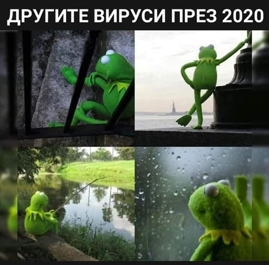 Другите вируси през 2020