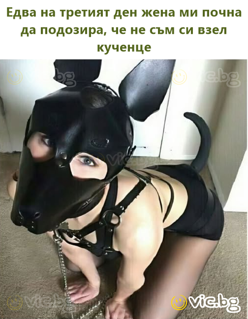 Едва на третият ден жена ми почна да подозира, че не съм си взел кученце