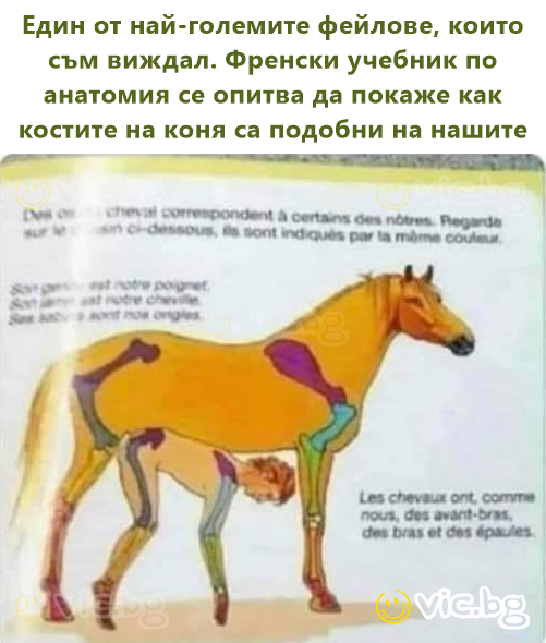 Един от най-големите фейлове, които съм виждал. Френски учебник по анатомия се опитва да покаже как костите на коня са подобни на нашите