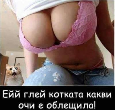 Ейй, глей котката какви очи е облещила
