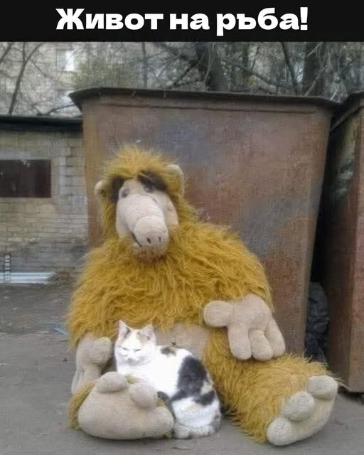 Живот на ръба!