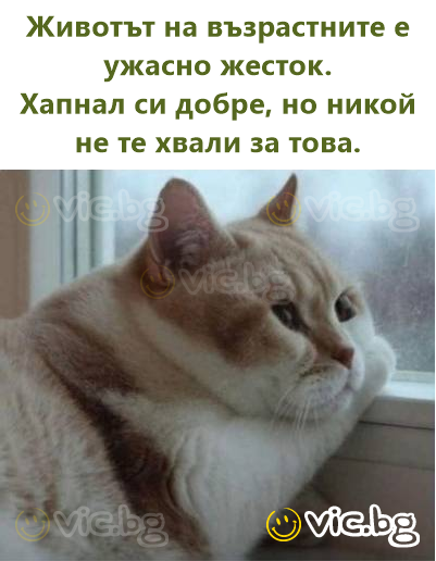 Животът на възрастните е ужасно жесток.  Хапнал си добре, но никой не те хвали за това.