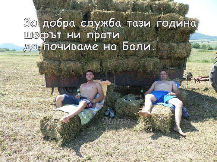 За добра служба, почиваме на бали