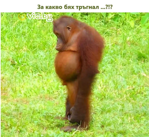 За какво бях трьгнал ...?!?