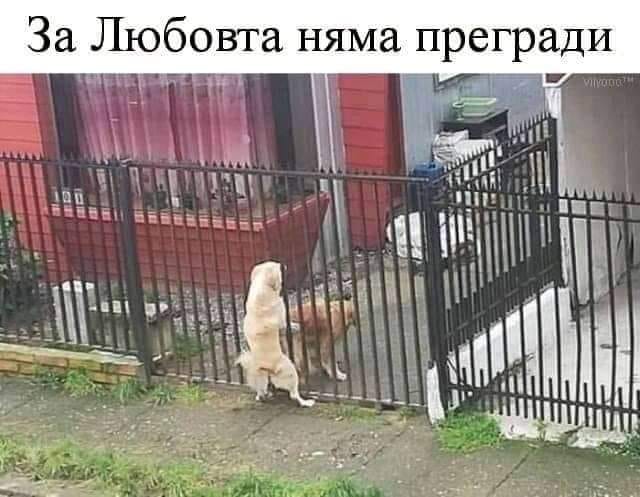 За любовта няма прегради