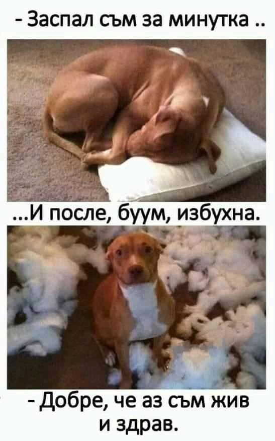 - Заспал съм за минутка И после, бум, избухна - Добре, че аз съм жив и здрав