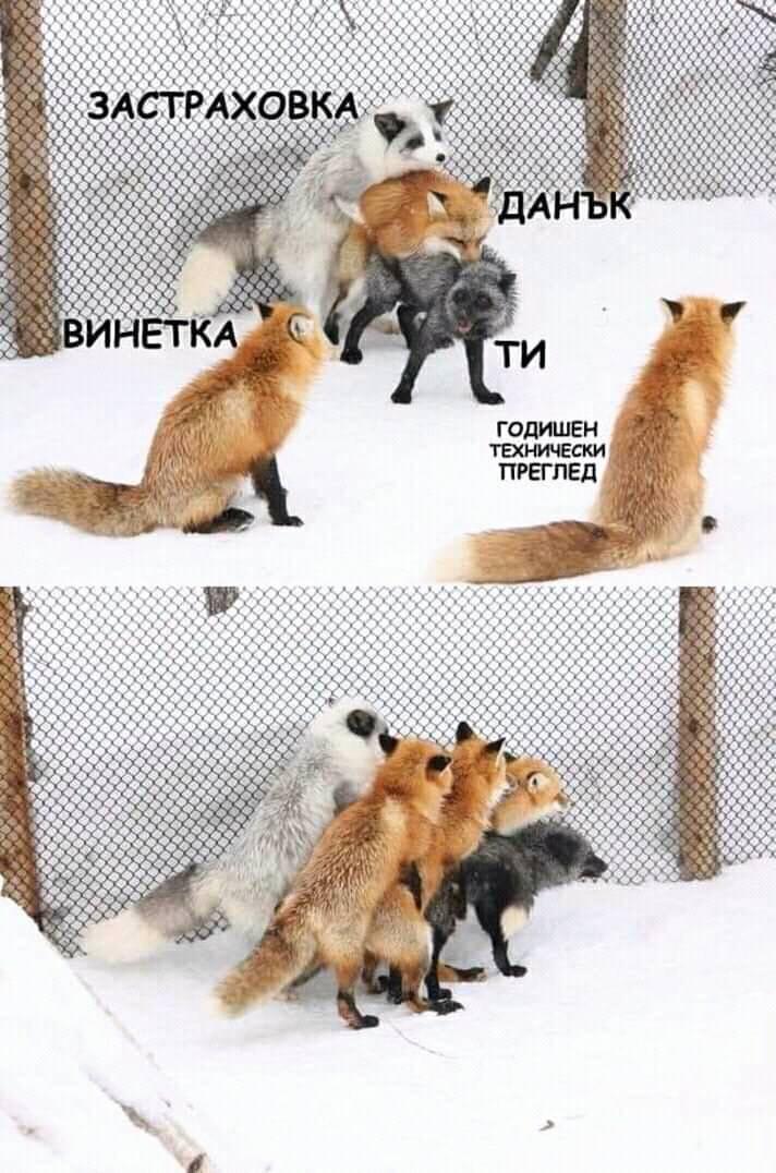 Застраховка, данък, винетка, годишен технически преглед