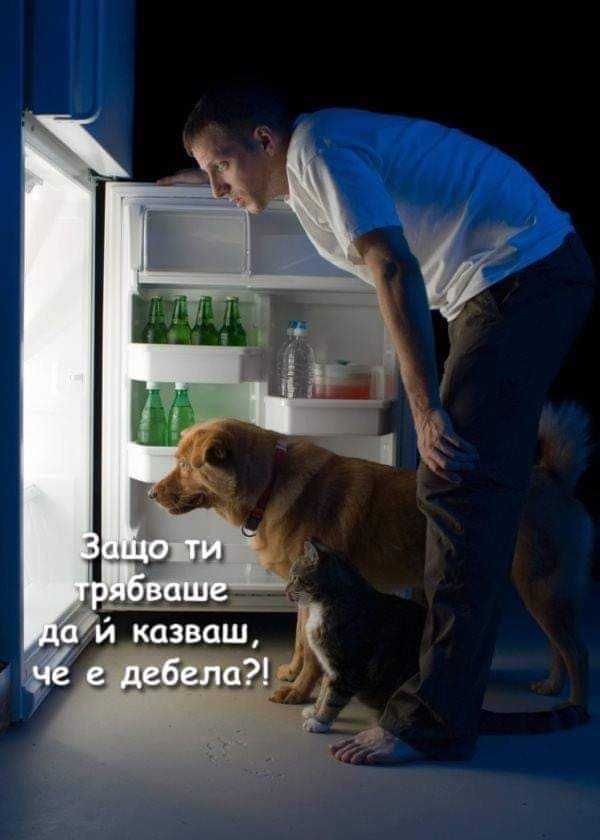 Защо ти трябваше да казваш, че е дебела