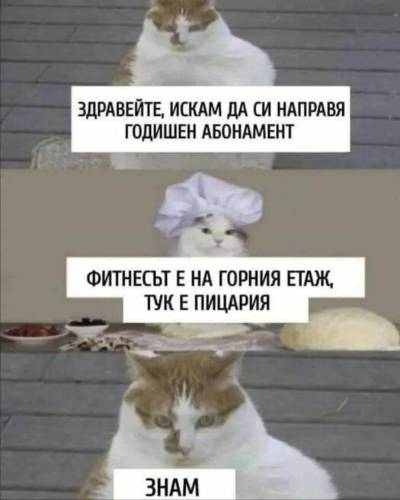 Здравейте, искам да си направя годишен абонамент. Фитнесьт е на горния етаж, тук е пицария. Знам
